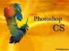 Adobe Photoshop CS4. Уровень 2. Расширенные возможности