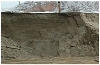 Песок для строительных работ «Кубанский» ГОСТ 8736-93