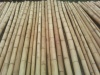 бамбуковый ствол